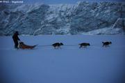 065 En traineau devant glacier Inglefield