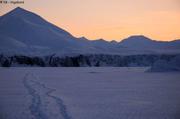 112 Traces skieur et chien