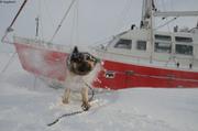 199 imiaq reveil tempete