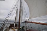 293 Albarquel sous voiles vers Svea 2