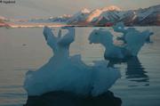 103 Acteurs de glace