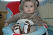 124 Petit ours brun egare dans l Arctique