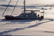 211 Vagabond neige fraiche