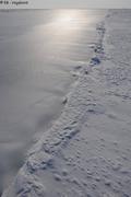 303 Nouvelle glace