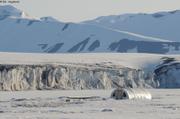 439 Tente et glacier