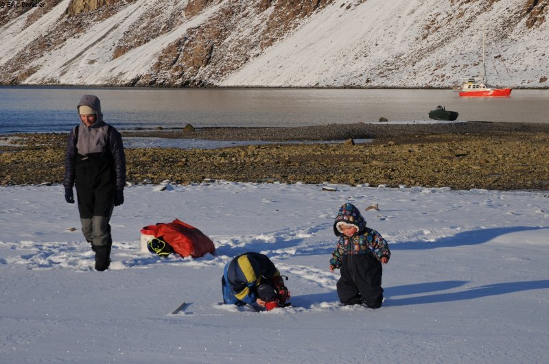 066 Non loin de Grise Fiord