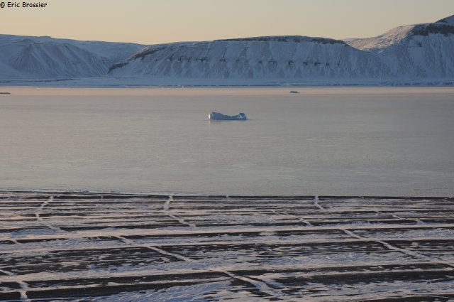 122 Fiord Cap Sud jeune glace