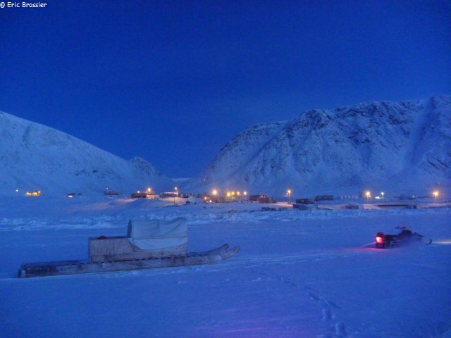 257 Arrivee Grise Fiord