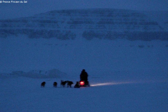 266 Depart manip avec Leonie et les chiens