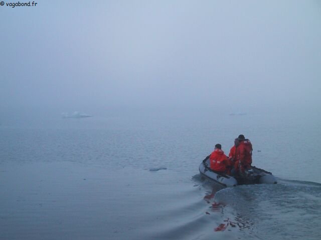 Brume