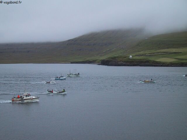 Iles Feroe