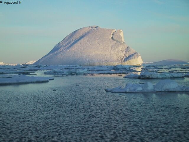 iceberg couchant