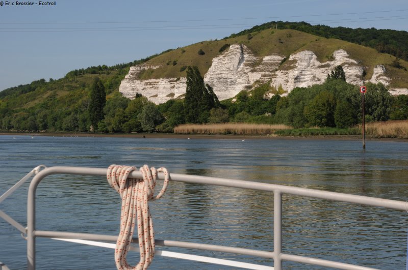 174 Falaises bord de Seine