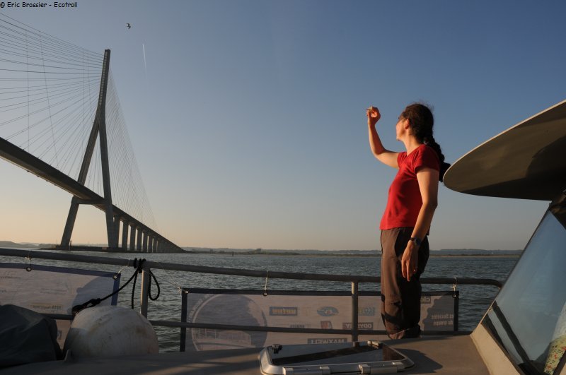 190 France pont de Normandie