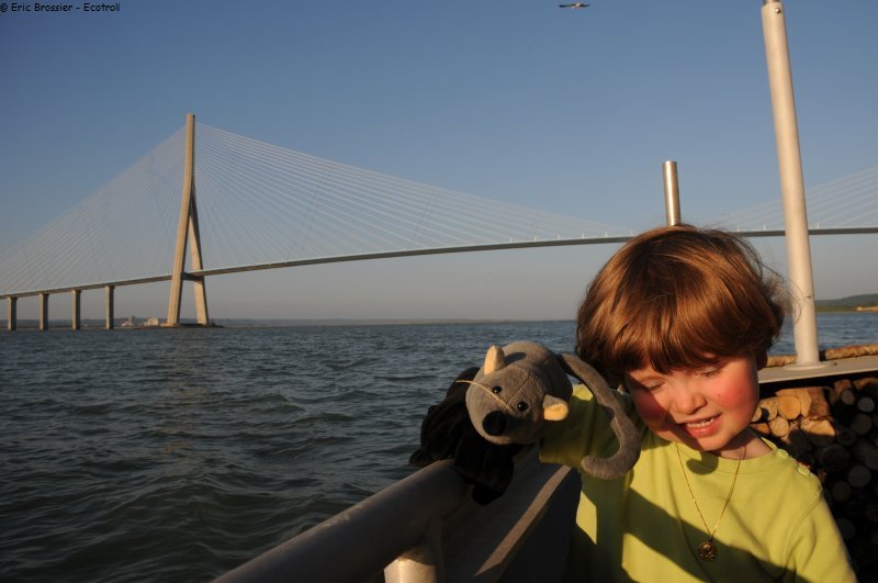 191 La souris sous le pont de Normandie