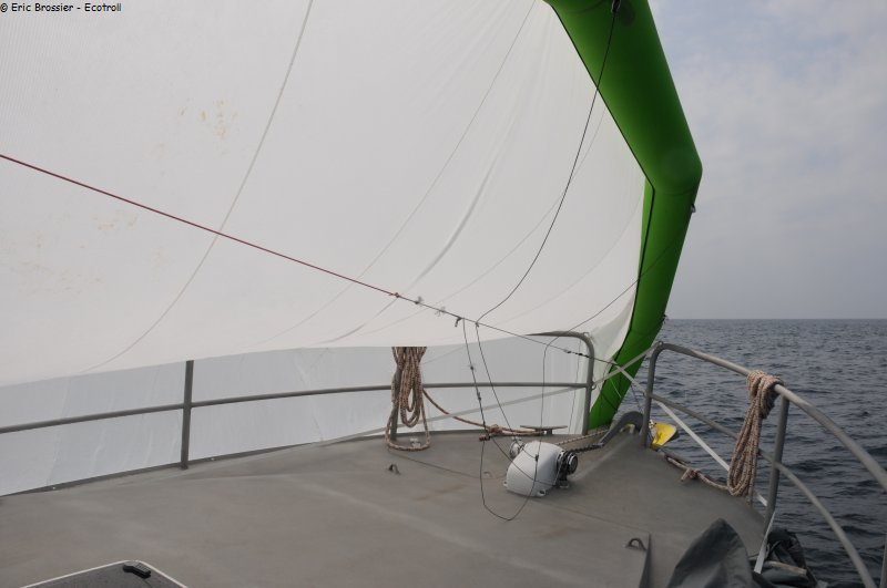 230 Atterrissage cerf-volant loupe