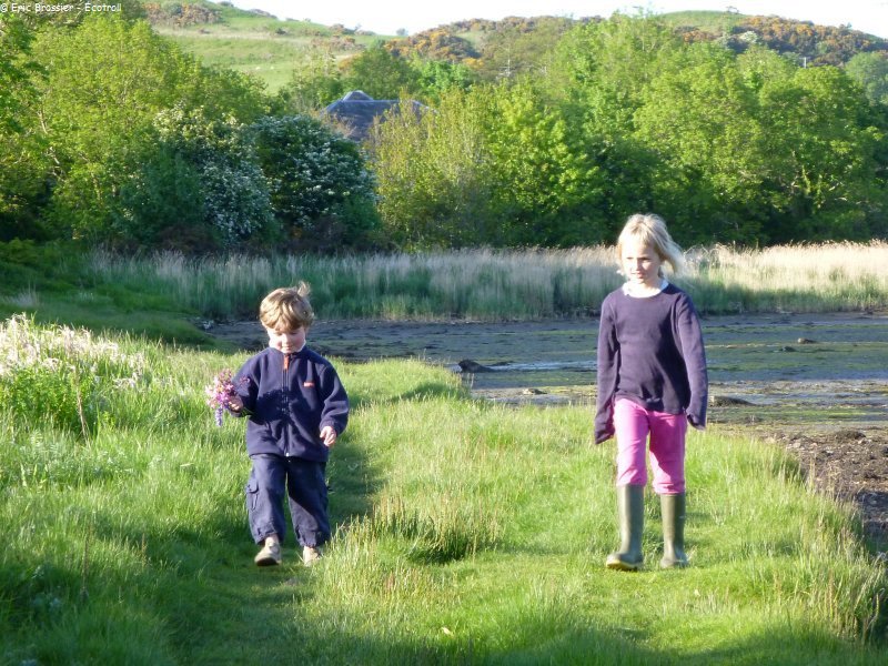 241 Loch Craignish