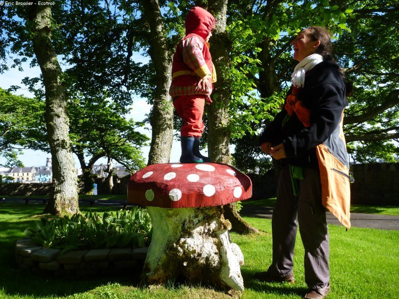 279 Champignon du chateau de Stornoway