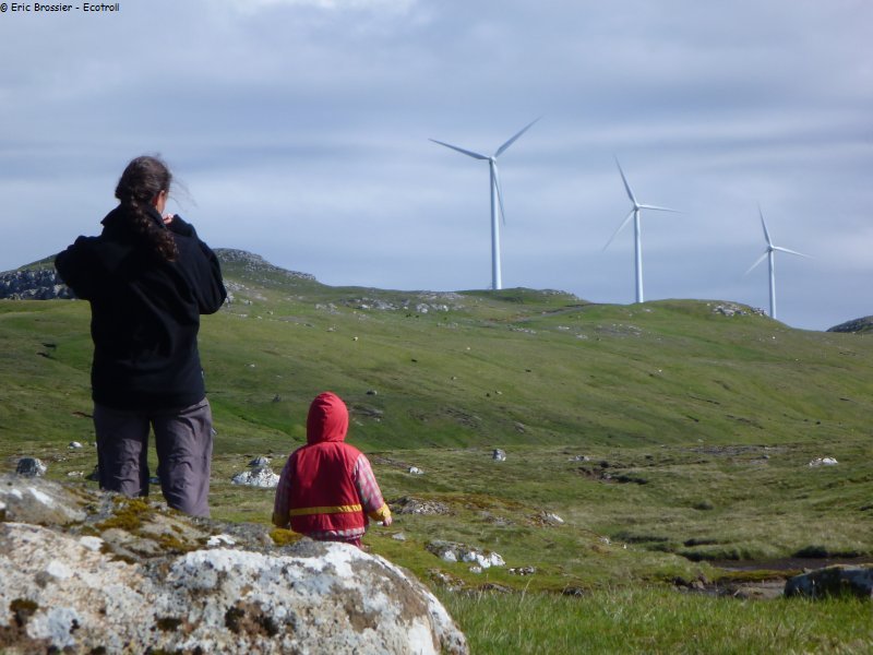 371 Eoliennes feroiennes