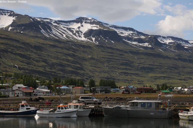 381 Seydisfjordur Islande