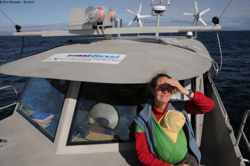392 Entre cercle polaire et baleines