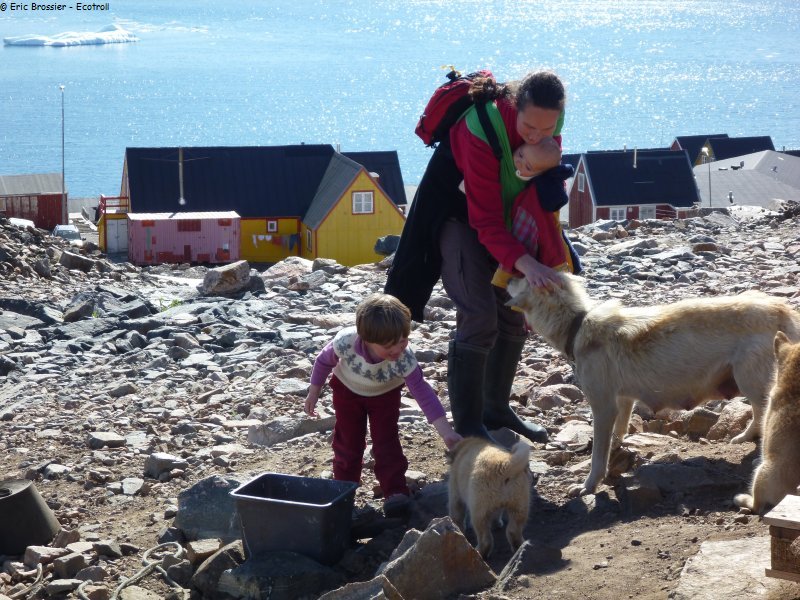 440 Beaucoup de chiens a Ittoqqortoormiit