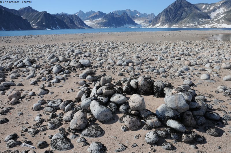 480 Restes de hutte2