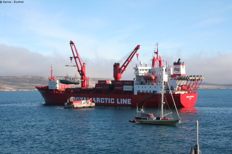 493 Grutage Ecotroll Arina Arctica