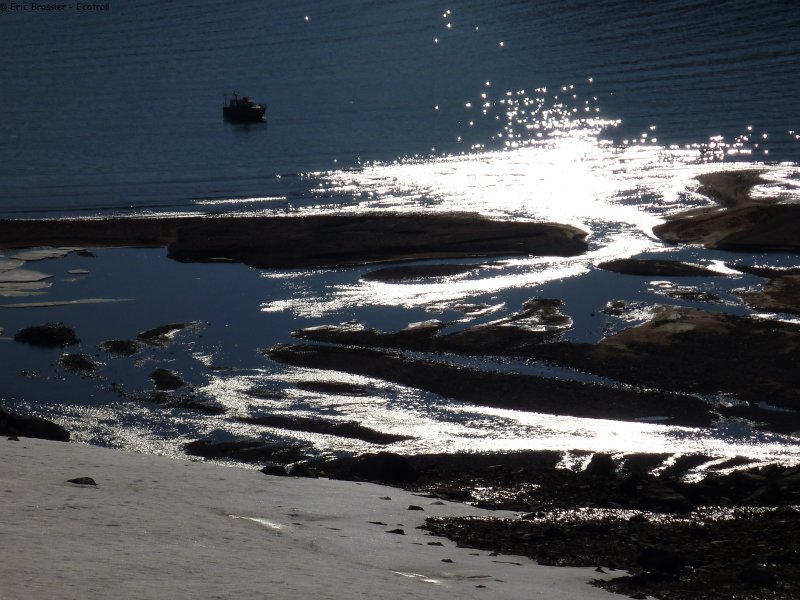 506 Contre jour Ecotroll
