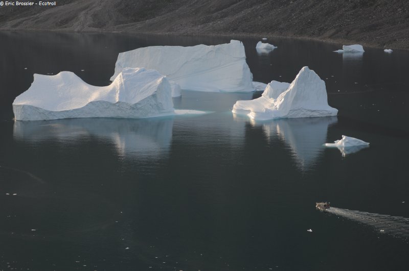 566 Vers icebergs