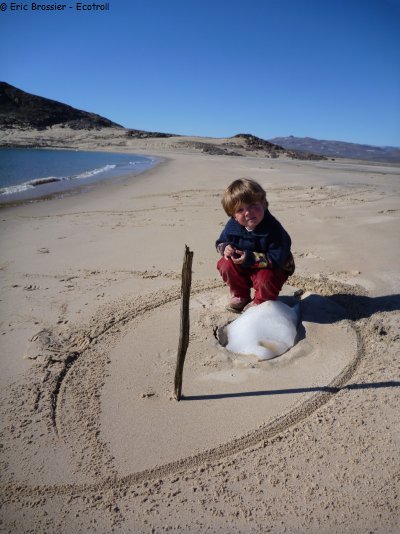 590 Jeux de plage et de glace