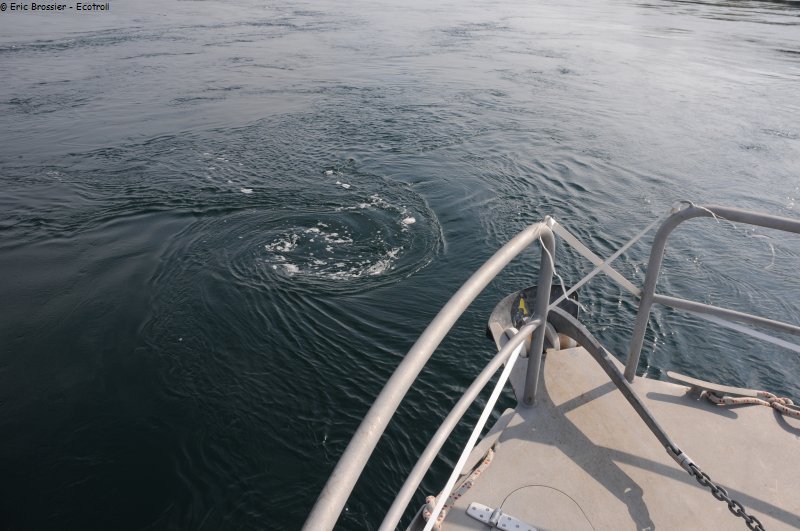 677 Courant Cuan Sound
