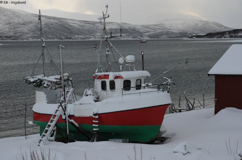 028 Hiver au sec pour certains
