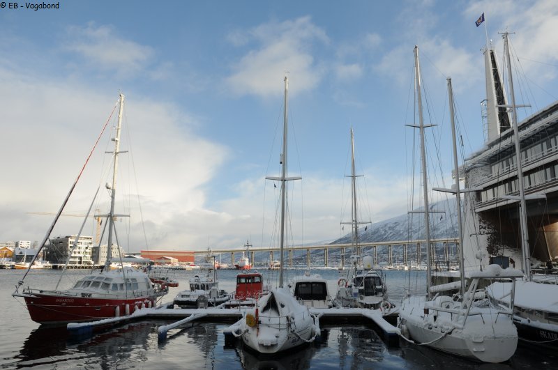 036 Vagabond Tromso Marina