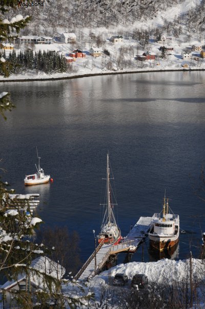 049n Lyngseidet
