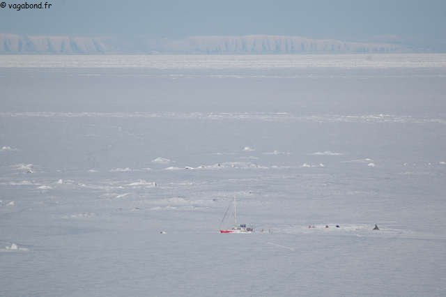 157 Vagabond depuis glacier