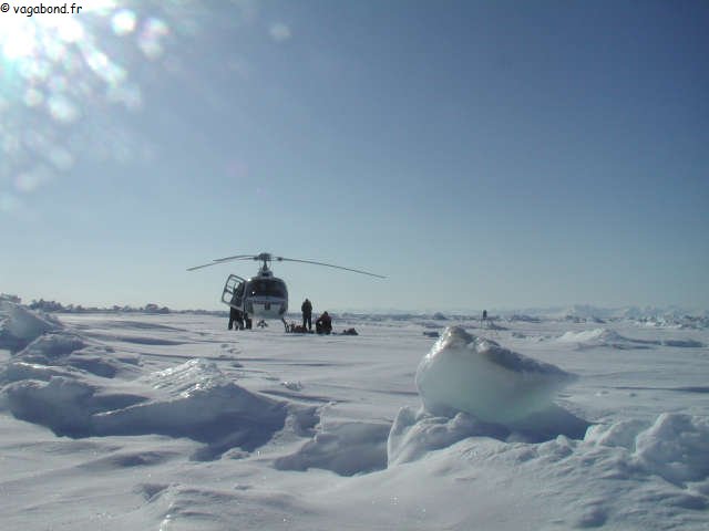 166 Helico manip Brines