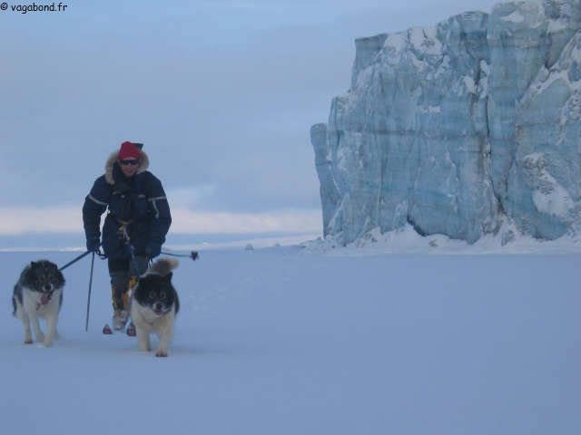 174 Eric chiens glacier