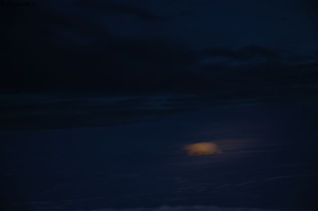 028 Ours dans la nuit