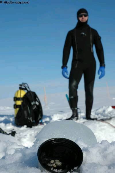 110 Pecheur crevettes sous glace