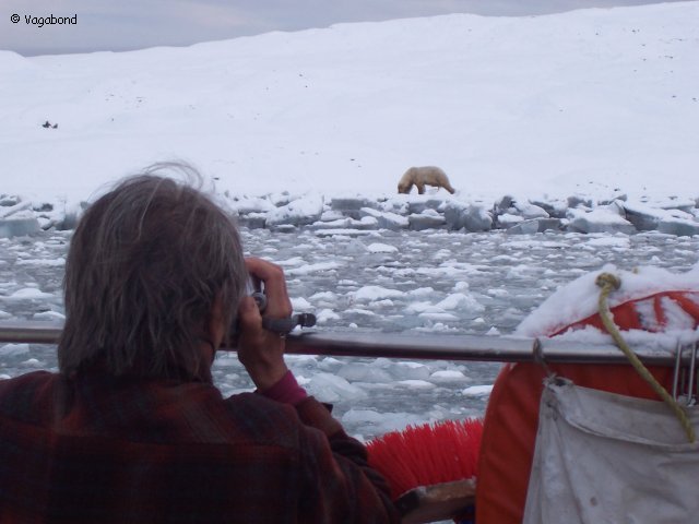 033 Nombreuses visites d ours