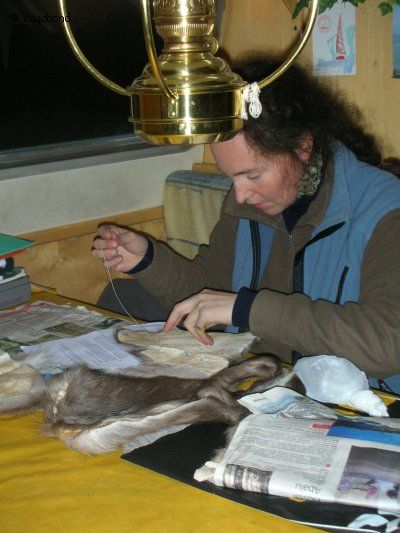 054 France fabrique gants peau de renne