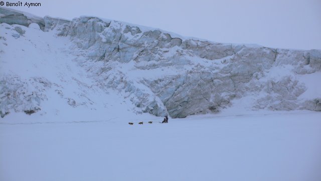 148 En traineau devant glacier