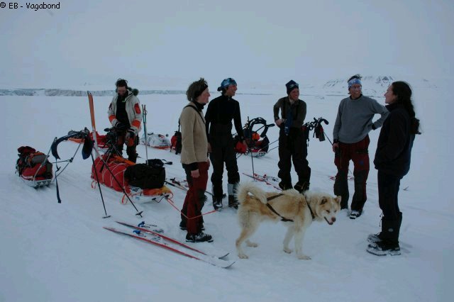 199 France accueille Frozen Five