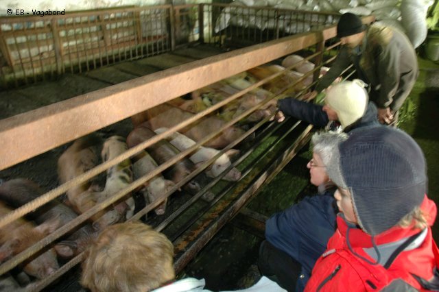 52 Barentsburg farm