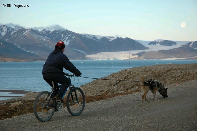 81 France VTT avec chien