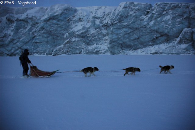 065 En traineau devant glacier Inglefield