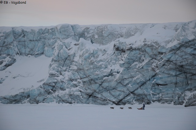 087 Traineau devant glacier