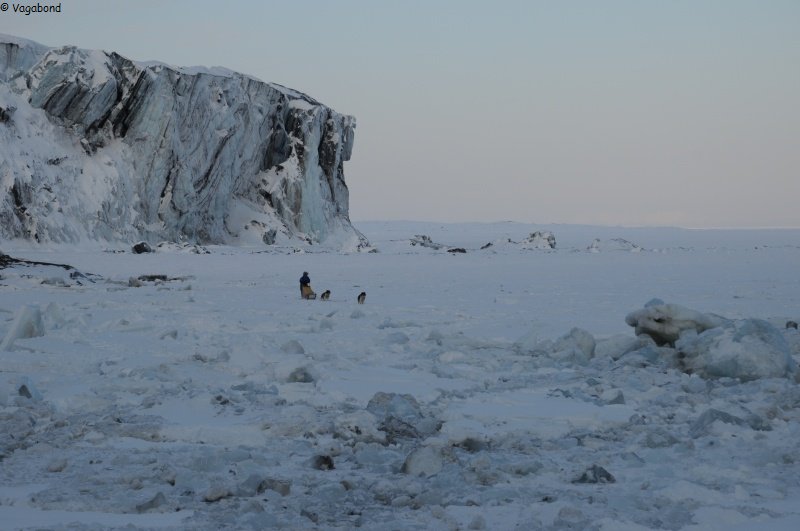 162 Traineau glacier et banquise