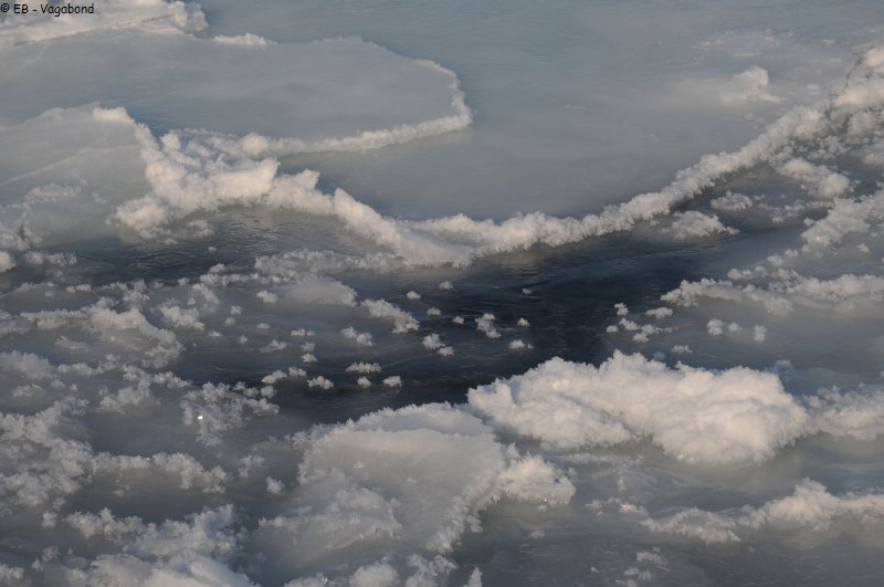 230 Fleurs de glace et jeune banquise dans chenal